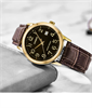 Casio Collection MTP-V002GL-1B