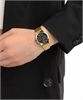 Casio Collection LTP-V300G-1A
