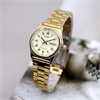 Casio Collection LTP-V006G-9B